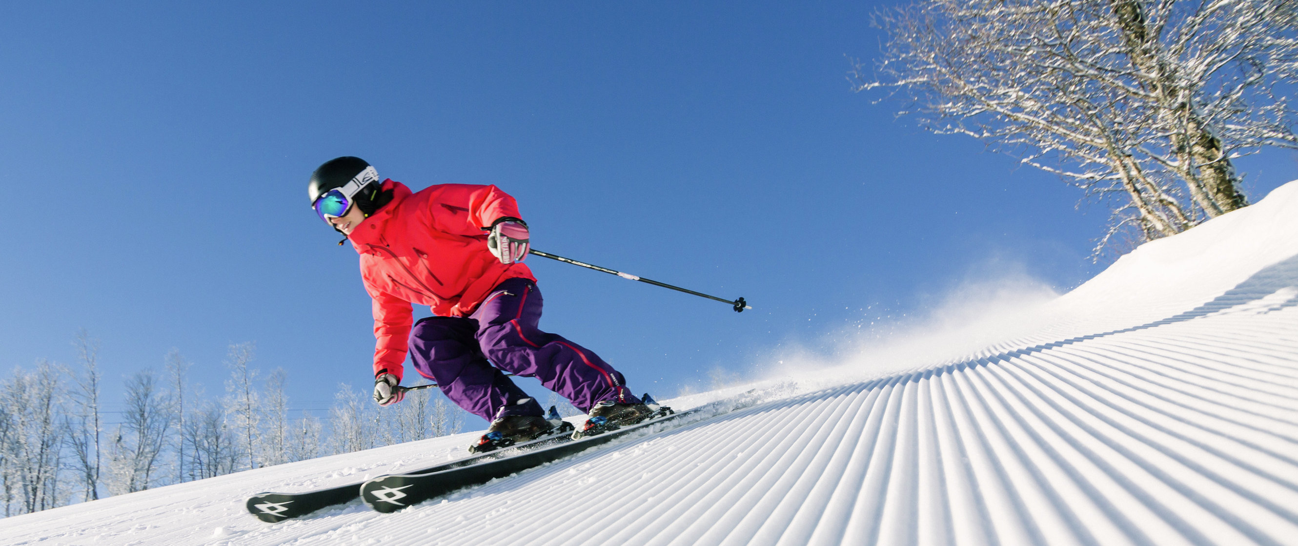 Ski school Geilo | SkiGeilo