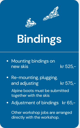 skiservice bindings eng