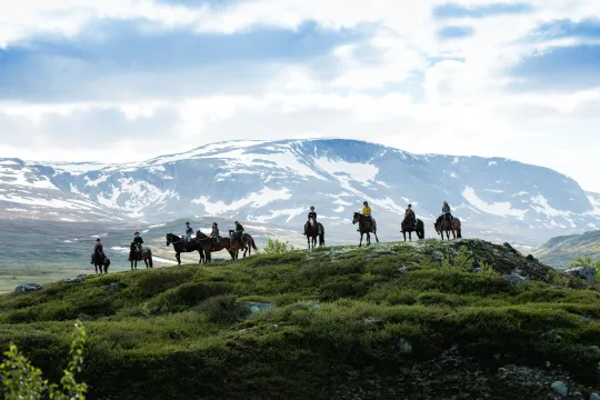 Fjellridning – 3 timers tur