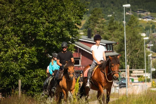 Horseback riding tour - 1 hour 