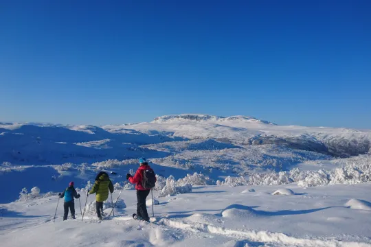 Snowshoe mountain hike