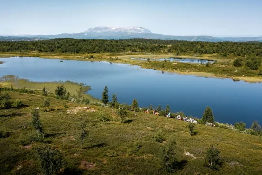 Horseback riding - Whole day Experience 