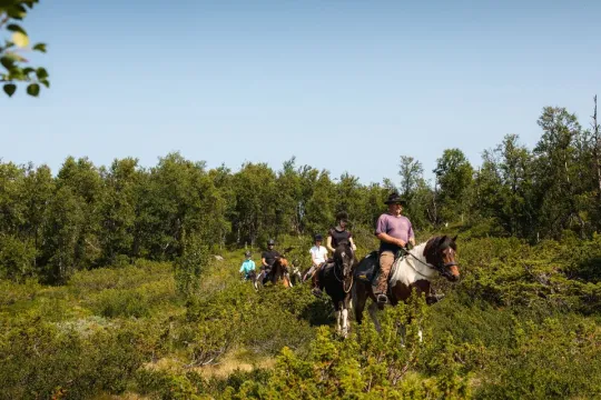 Horseback riding tour - 2 hours