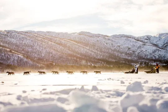 10 km hundekjøring på Ustedalsfjorden