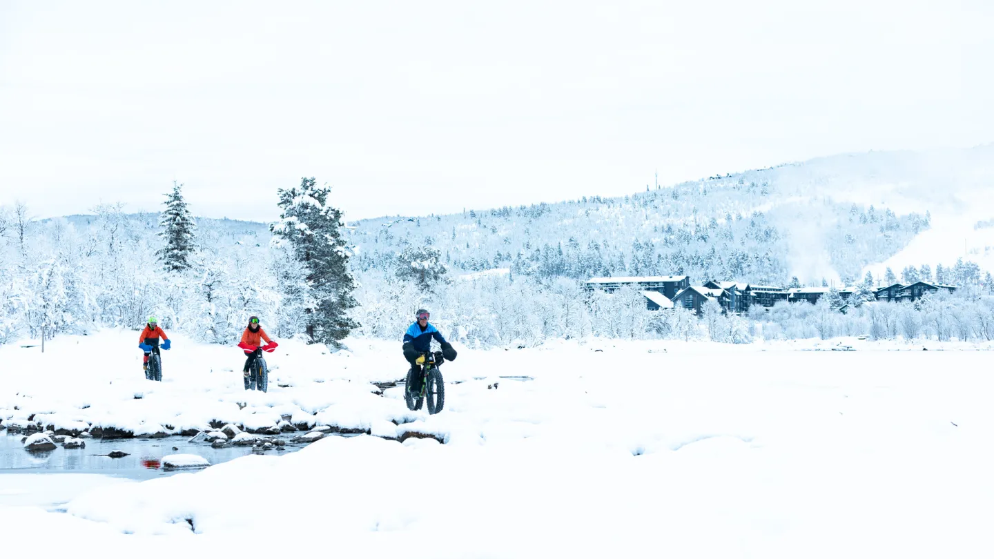 Geilo Aktiv fatbike utleie