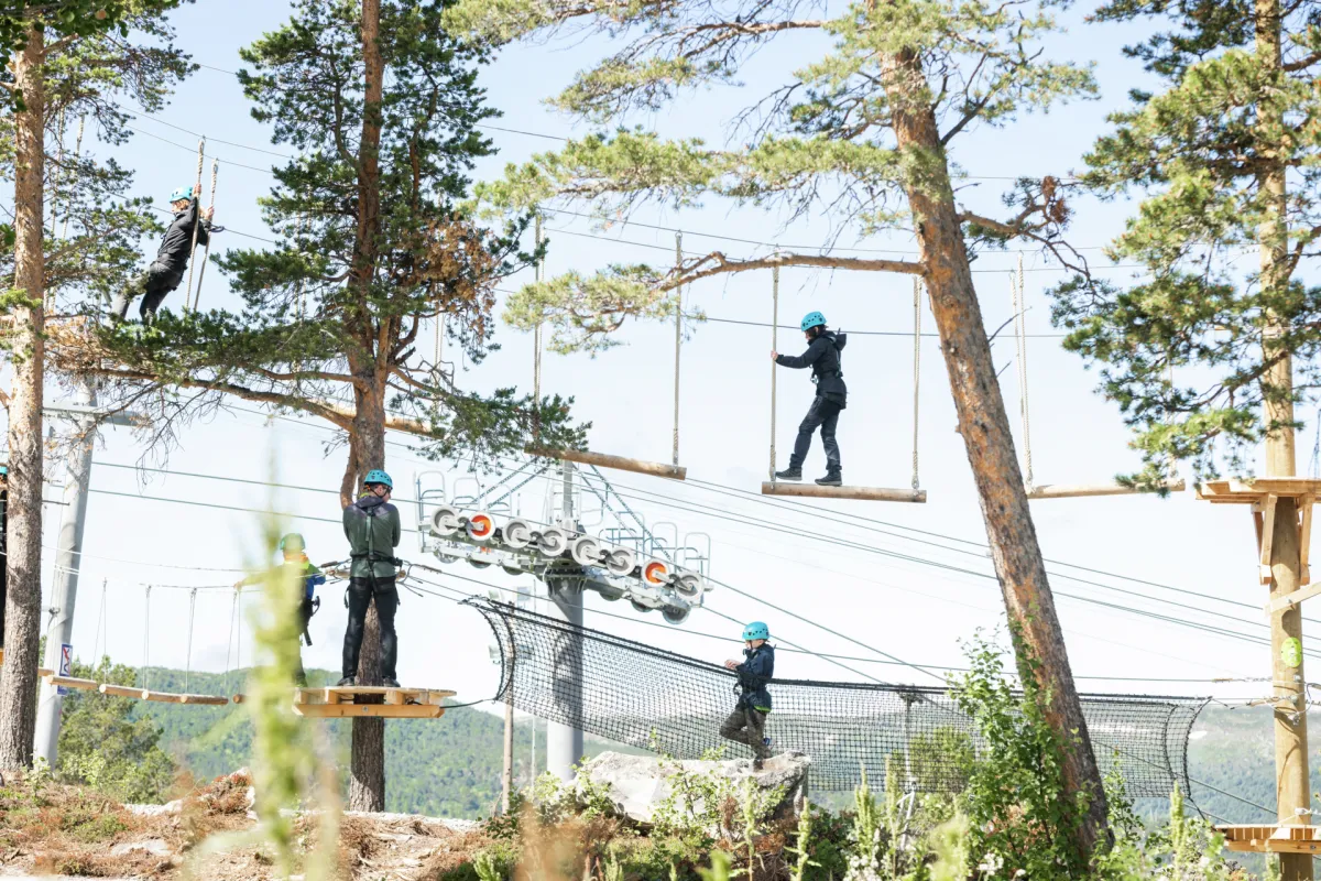 Høyt og lavt klatrepark på Geilo